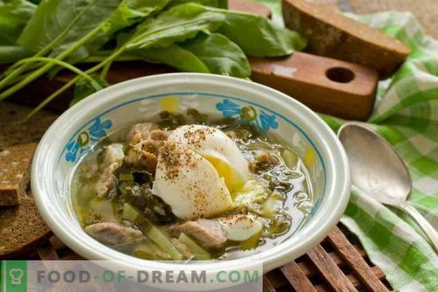 Sauerampfer Suppe mit Fleisch und Ei