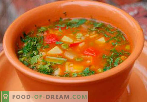 Rastlinska juha - najboljši recepti. Kako pravilno in okusno kuhamo zelenjavno juho.