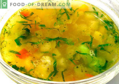 Rastlinska juha - najboljši recepti. Kako pravilno in okusno kuhamo zelenjavno juho.