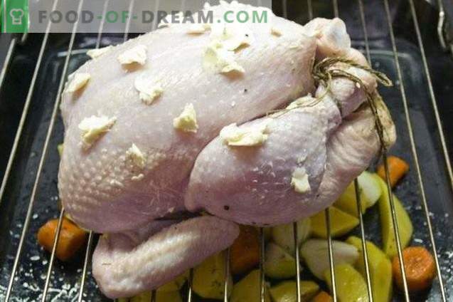 Celo pečena piščanca