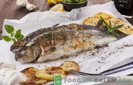 Ulovite ribe, vse je okusno na žaru! Recepti z morskih in rečnih rib na žaru: kulinarična pomoč ribičem in ljubiteljem okusne ribe