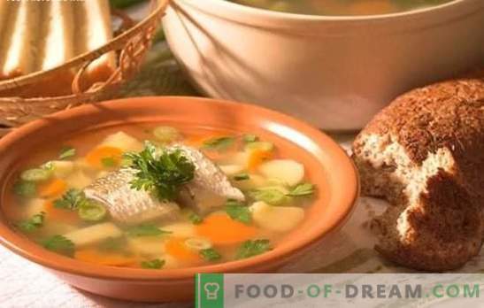 Ribja juha z okusom smeti - okusna juha doma. Kako kuhati uho iz ostriga: skrivnosti, recepti, nasveti