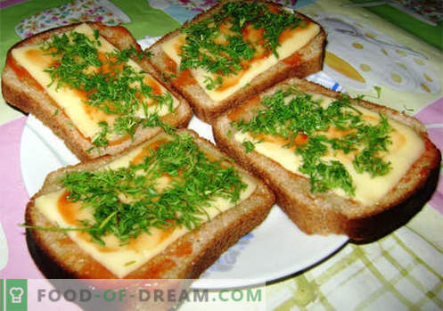 Sirski sendviči so najboljši recepti. Kako hitro in okusno kuhamo sendviče s sirom.