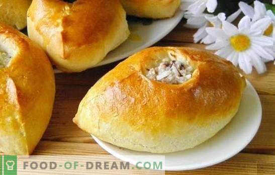 Pies with rice - delicious Russian pastries. Recipes pies with rice, green onions, fish, minced meat and mushrooms