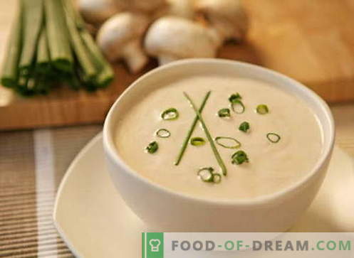 Kremna juha - najboljši recepti. Kako pravilno in kuhamo kremno juho.