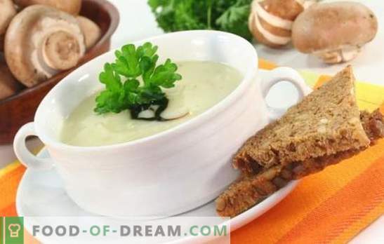 Gobova juha z topljenim sirom - nezasluženo pozabljena jed! Recepti najboljših gobskih juh z topljenim sirom