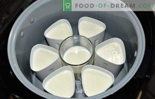Jogurt v lončku v kozarcih je zdrava okusna poslastica. Sorte jogurta iz multicookerja v kozarcih