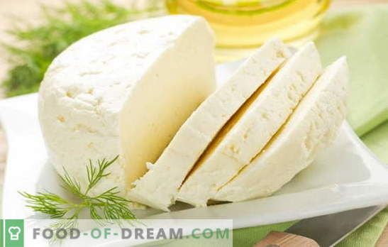Najboljši recepti za domači kravji sir. Kravje mleko: osnovna pravila za domačo pridelavo sira