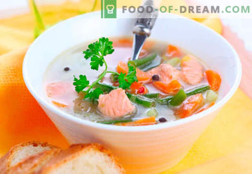Trojne juhe - dokazani recepti. Kako pravilno in kuhamo postrvjo juho.