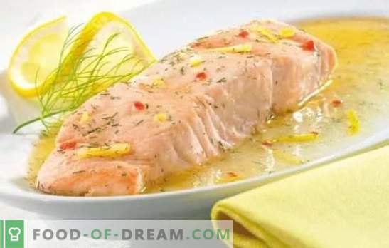 Recepti za ribjo omako so pikanten dodatek vaši najljubši jedi. Recepti za ribjo omako na osnovi juhe, mlečnih izdelkov, paradižnikove paste