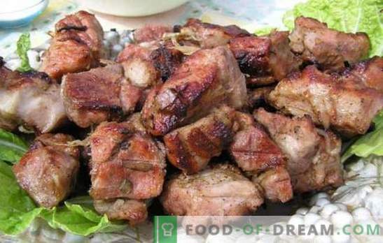 Marinada za svinjski kebab s kefirjem - razpisom! Zbirka marinadnih receptov za meso na ognju: marinada za svinjino s kefirjem