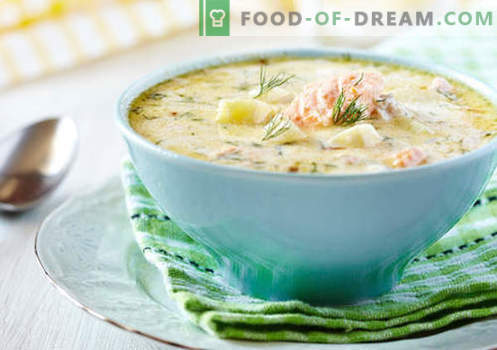Kremna juha - dokazani recepti. Kako pravilno in okusno kuhati juho s smetano.