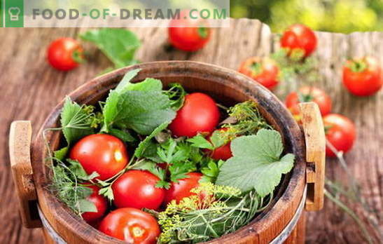 Zelena in rdeča, okus je čudovit, slan paradižnik v sodu za zimo. Različni načini pobiranja paradižnika v sodu za zimo