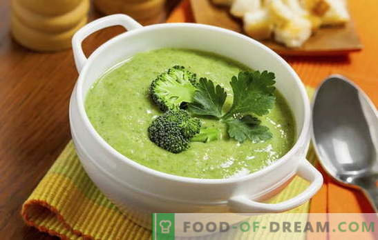 Brokoli kremna juha: recepti za prehrano in osnovno prehrano. Različni recepti za kremo - juho od preprostih do kompleksnih brokolijev