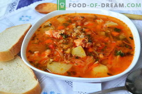 Kharcho juha - najboljši recepti. Kako pravilno in okusno kuhati juho kharcho.