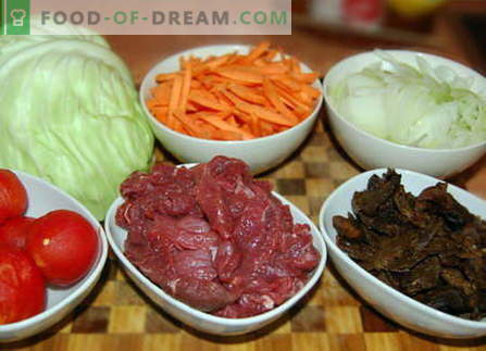 Zelje z mesom - najboljši recepti. Kako pravilno in okusno kuhati zelje z mesom.
