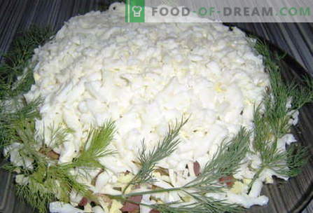 Bela solata - najboljši recepti. Kako pravilno in slastno kuhano belo solato.
