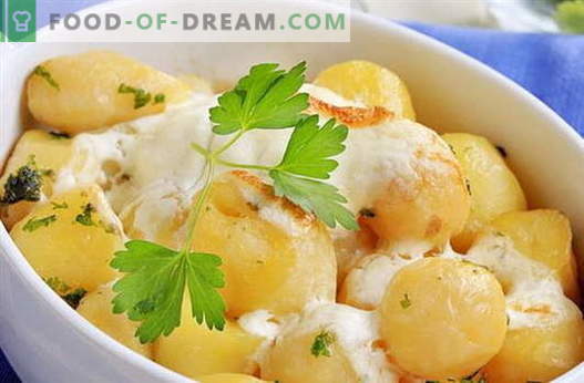 Krompir v kisli smetani - najboljši recepti. Kako pravilno in okusno kuhati krompir v kislo smetano.