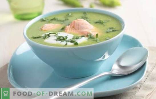 Ribja juha iz družine - koristna, preprosta, okusna. Najboljši recepti keta juhe (iz glave, repa, plavuti) za vsak okus: z zdrobom in koruzo