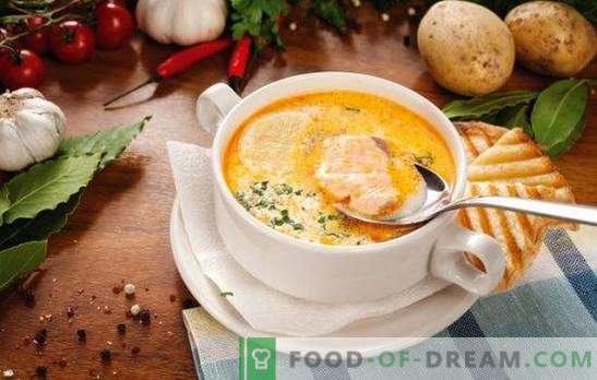 Zuppa di pesce - zuppa dal sapore unico! Ricette per varie zuppe di pesce con cibo in scatola, carcasse fresche e filetti, cavoli, fagioli