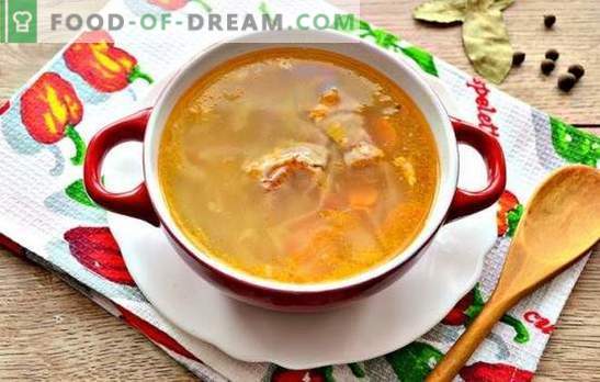 Preprosti recepti bogate zelja juha iz svežega zelja s svinjino. Kuhanje najbolj ruske juhe - juha iz svežega zelja s svinjino