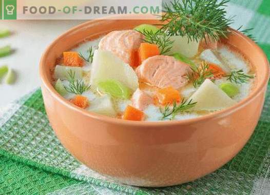 Lososova juha - najboljši recepti. Kako pravilno in okusno kuhati losos juho.