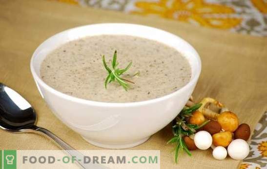 Seene koore supp - populaarsed retseptid. Kuidas teha seente koor suppi aeglases pliidis, koore või juustuga