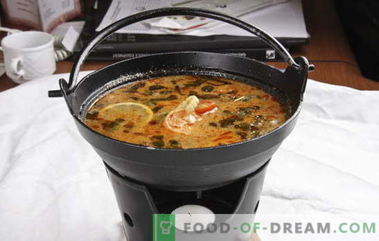 Tajska juha - eksotična v vaši kuhinji. Recepti tajske juhe z govedino, ribami, piščancem, morskimi sadeži, zelenjavo in gobami