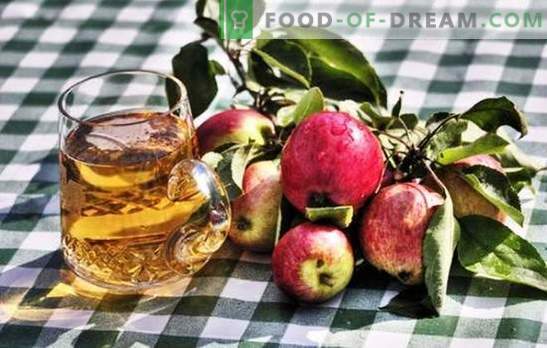 Izdelava domače jabolčnika - naravni izdelek! Kako pripraviti surovine za jabolčni jabolčnik doma