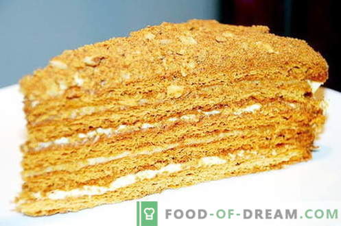 Ribja torta - najboljši recepti. Kako pravilno in okusno kuhati torto Ginger.