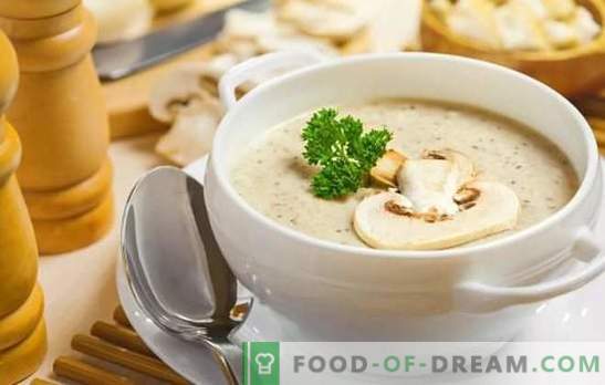 Dišeče juhe iz šampinjona: recepti po korakih. Pripravite preprosto polnjenje in evropske kremaste gobe juhe (korak za korakom)
