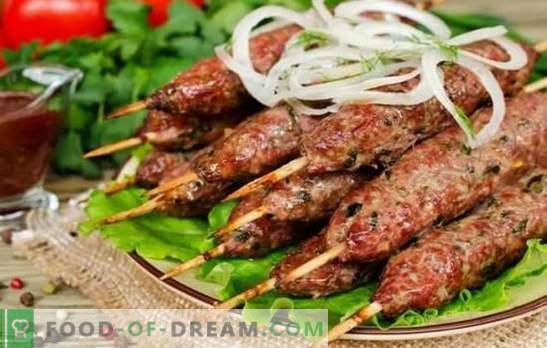 Tradicionalni kebab na žaru: od kaj in kako. Jagnječji kebab recepti iz jagnjetine, svinjine, piščanca in krompirja