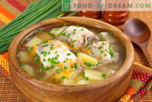 Ribja juha - najboljši recepti. Kako pravilno in okusno kuhati ribjo juho.