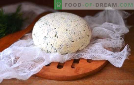 Kefirji doma - okusni, ekonomični, zdravi. Kako pripraviti različne vrste sira iz kefirja doma