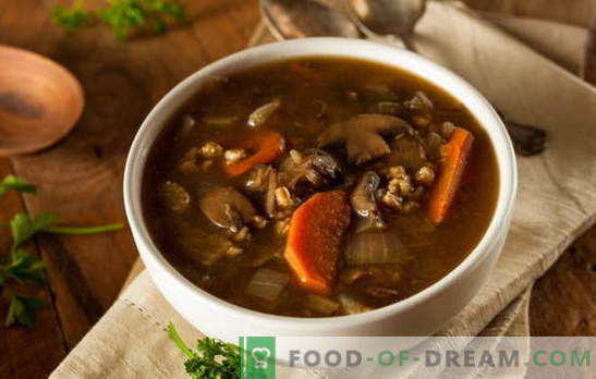 Lean juha z gobami - naj bo vedno slastna! Različni recepti za puste juhe z gobami in žitaricami, rezanci, zelenjavo