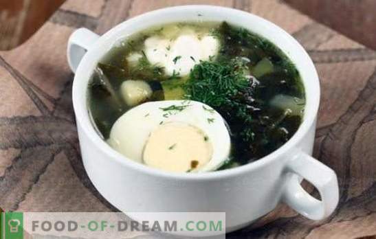Zelena juha - naboj vitamina in svetel okus! Recepti različnih zelenih juh s kislino in z zeljem, gobami, ribami, koprivami, fižolom