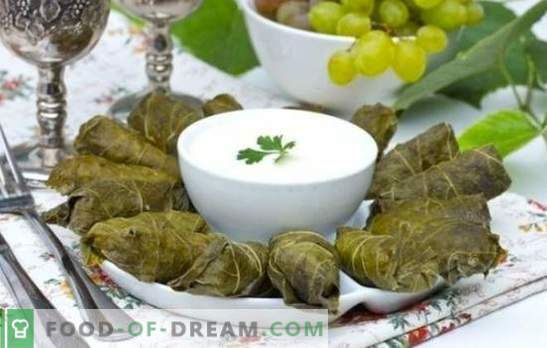 Dolma v grozdnih listih je krona kavkaške kulinarike. Klasični in izvirni recepti dolme v grozdnih listih