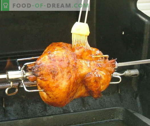 Piščančji piščanec - najboljši recepti. Kako pravilno in okusno kuhati piščanca na ražnju.