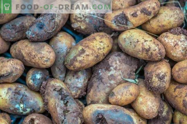 “Taboo TRIO” - varna predsetvena preprečitev krompirjevih bolezni in škodljivcev