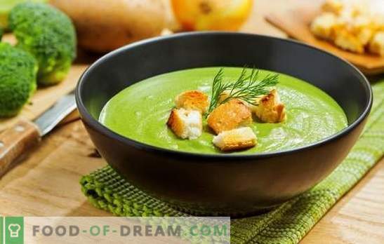 Brokoli kremna juha - za zdravje, um in lepo sliko. Recepti za kremne juhe s kremo, sirom, piščancem, gobami