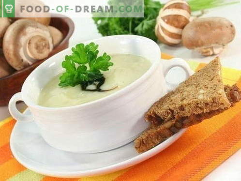 Juha z gobami - najboljši recepti. Kako pravilno in okusno kuhati gobovo juho.