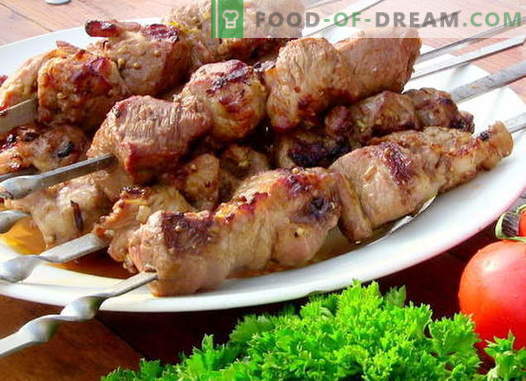 Goveji kebab - najboljši recepti. Kako pravilno in okusno kuhati kebab govejega mesa.