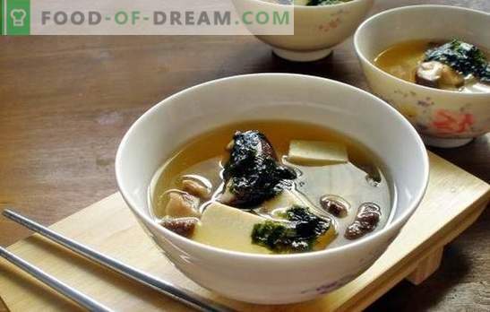 La soupe aux champignons pleurotes - un plat aromatique pour le déjeuner à n’importe quel moment de l’année. Les meilleures recettes de soupe de champignons aux pleurotes avec du poulet, du fromage, etc.