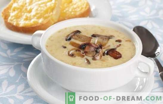 Sirna juha z gobami - presenetljiva domača neobičajna večerja. Recepti za sirno juho z gobami: preberite in kuhajte!