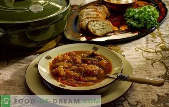 Dnevna juha - kuhajte po starih receptih! Tehnologija kuhanja, sestavine in različne variacije dnevnega življenja
