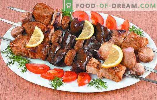 Turški kebab: recepti za nežno meso. Skrivnosti marinade za puranje kebabe: začinjeno, hitro, kefir, vino
