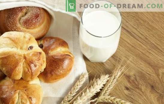 Testo za muffine z mlekom - kuhajte doma! Recepti za hitro, klasično, gobasto testo za pecivo na mleku