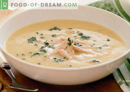 Piščančja kremna juha - najboljši recepti. Kako pravilno in slastno kuhati piščančjo juho.