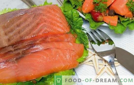Losos losos doma: cenovno poslastica! Recepti slanega roza lososa in skrivnosti soljenja doma
