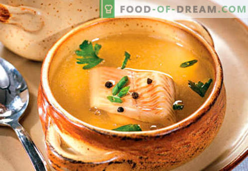 Ribja juha - najboljši recepti. Kako pravilno in okusno kuhati ribjo juho.